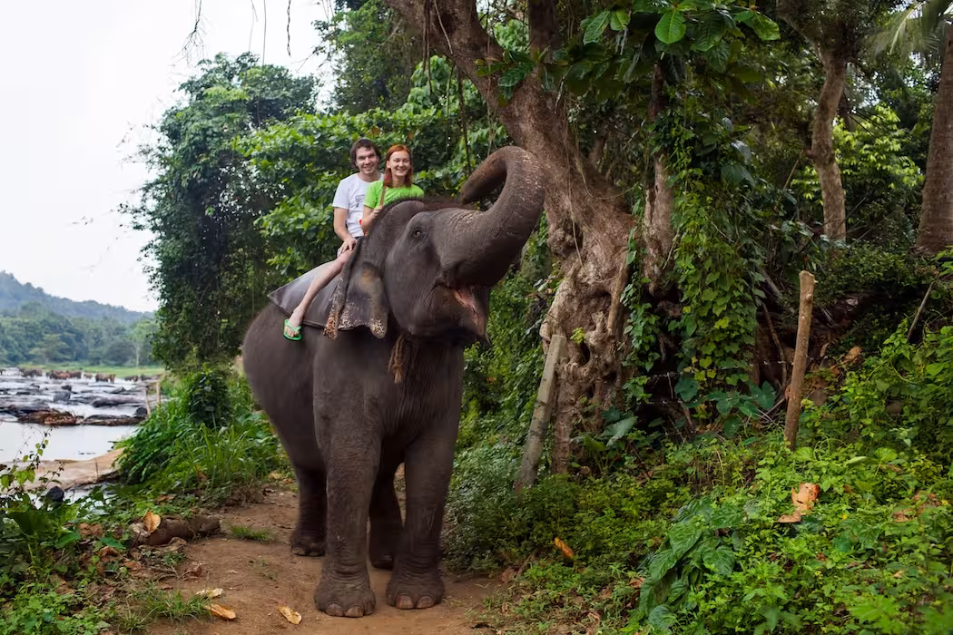 Viaggio in Sri Lanka